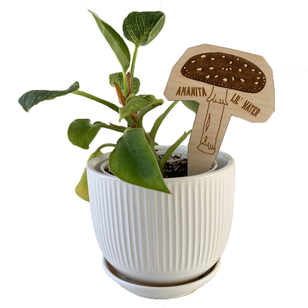 planter stake with mushroom design in potted plant